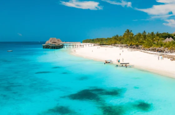 12-Day Luxury Safari and Zanzibar Beach Escape