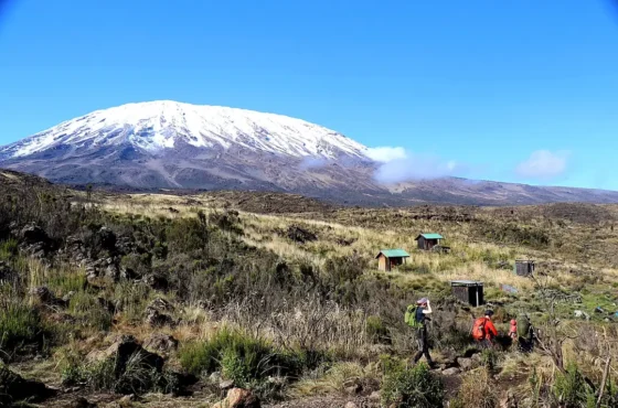 5-Day Marangu Route Kilimanjaro Trek