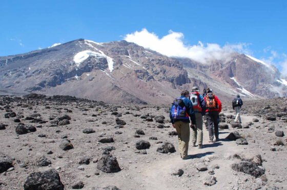 7-Day Rongai Route Kilimanjaro Trekking