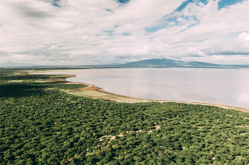 Flamingos on Lake Manyara