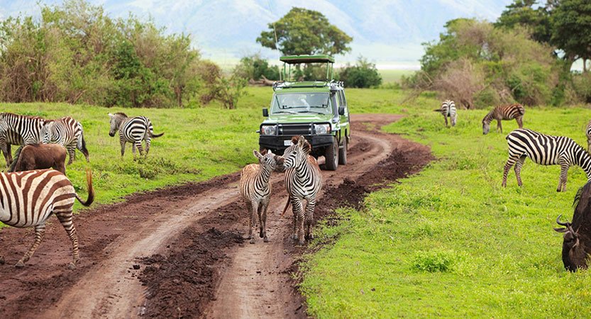 Walking safari in Arusha National Park