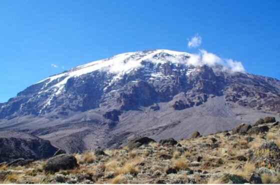 7-Day Umbwe Route Kilimanjaro Trekking