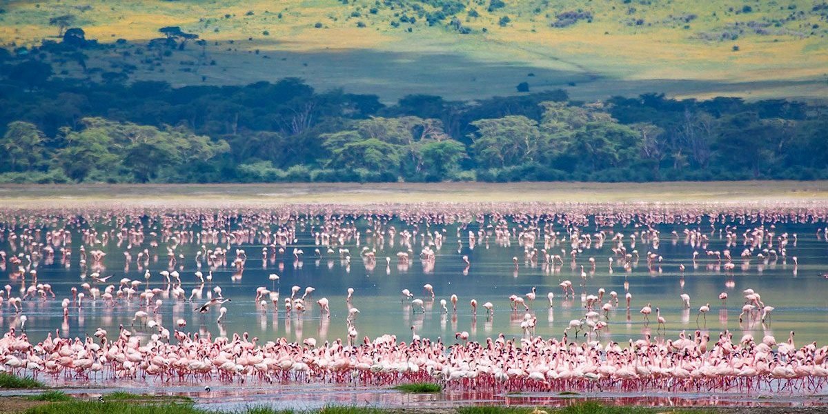 Lake Manyara beneath the Rift Valley escarpment