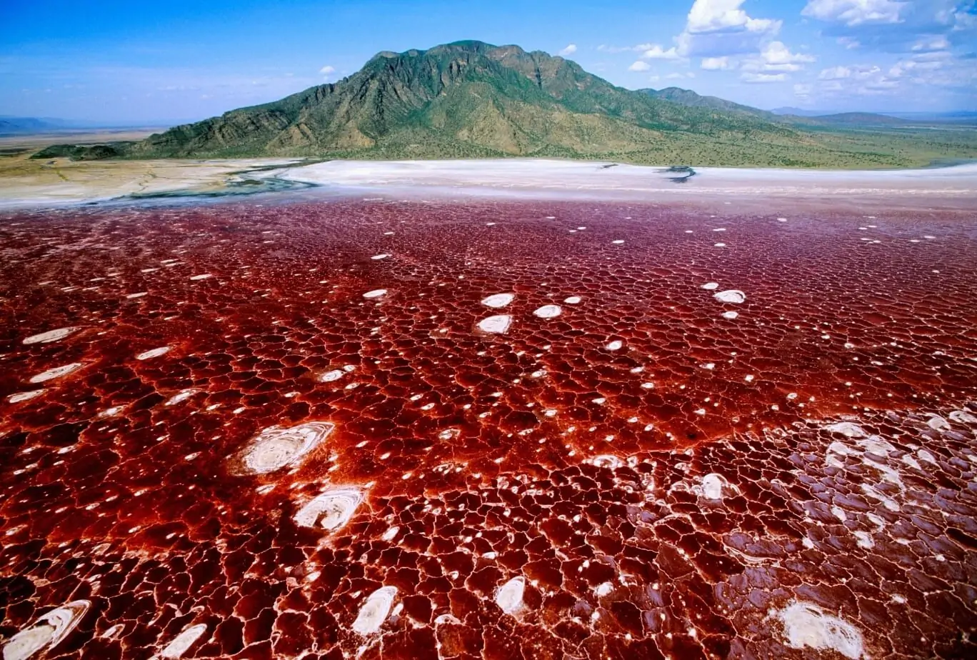 Lake Natron with volcanic landscape in the Great Rift Valley
