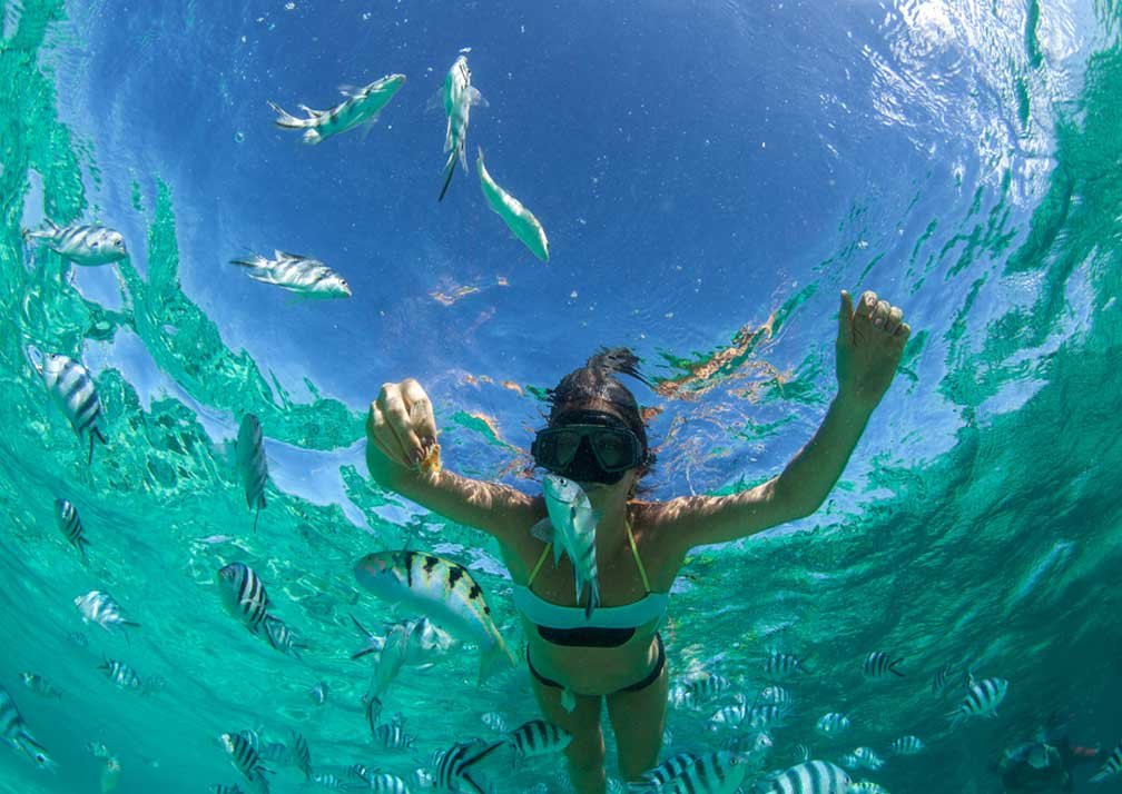 Dhow cruise and sandbank excursion on Mafia Island