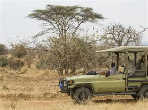 Walking safari in Ruaha National Park