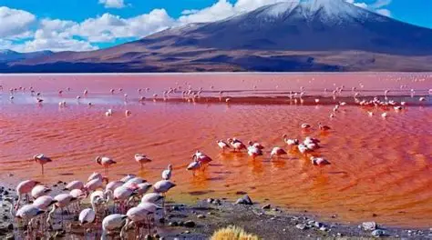 Mineral-rich colors of Lake Natron