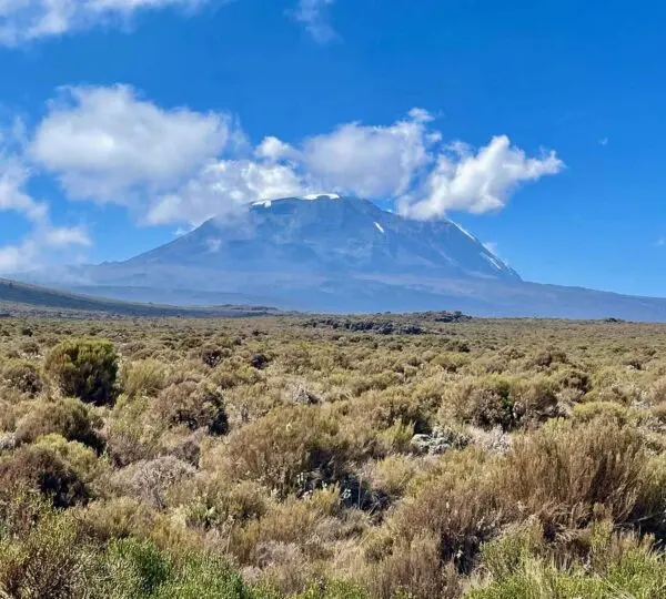 Shira Plateau on Mount Kilimanjaro
