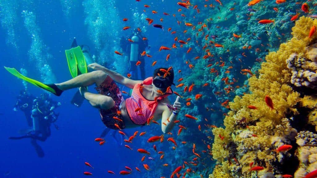 Snorkeling and dhow cruise in Zanzibar