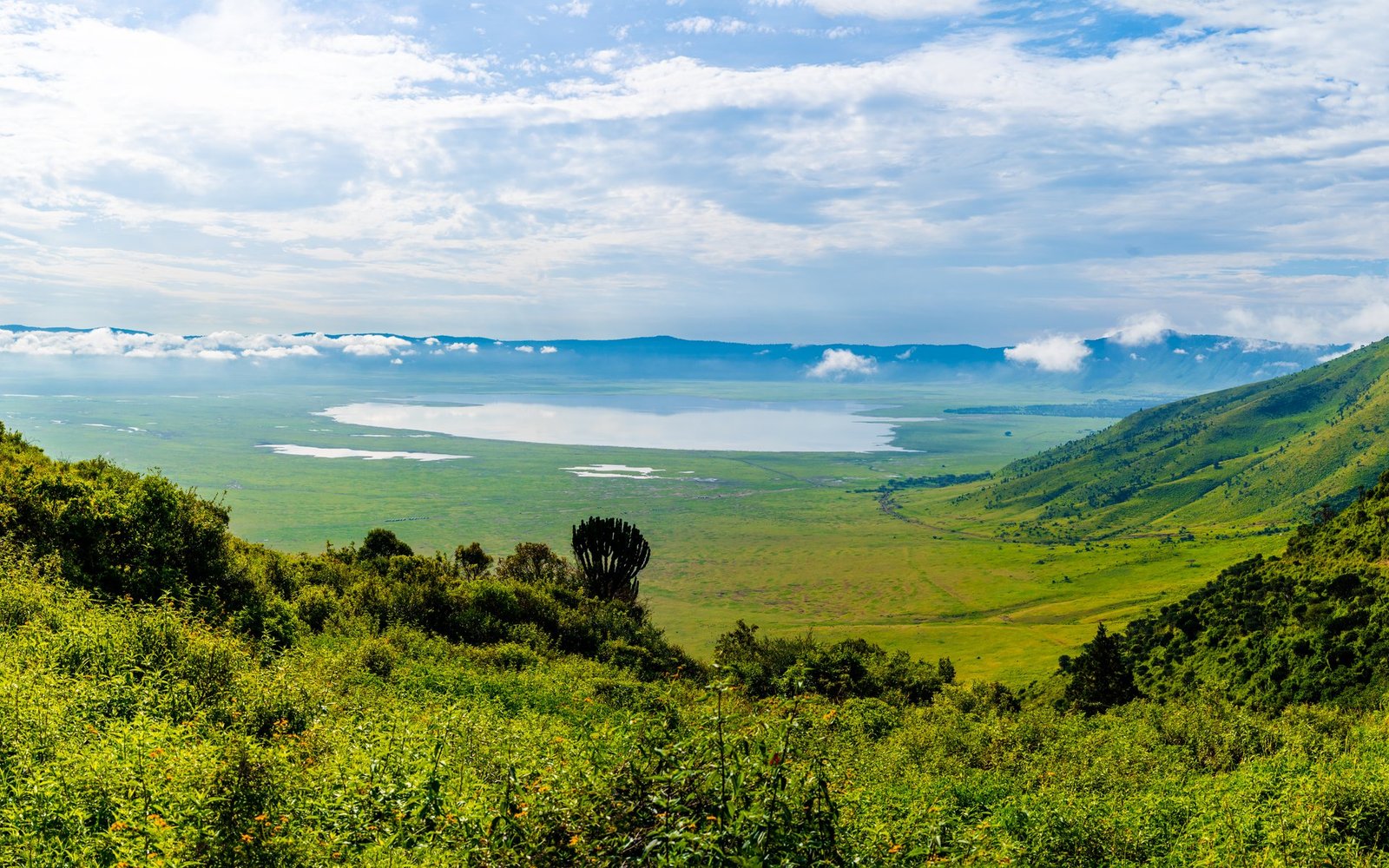 View into Ngorongoro Crater