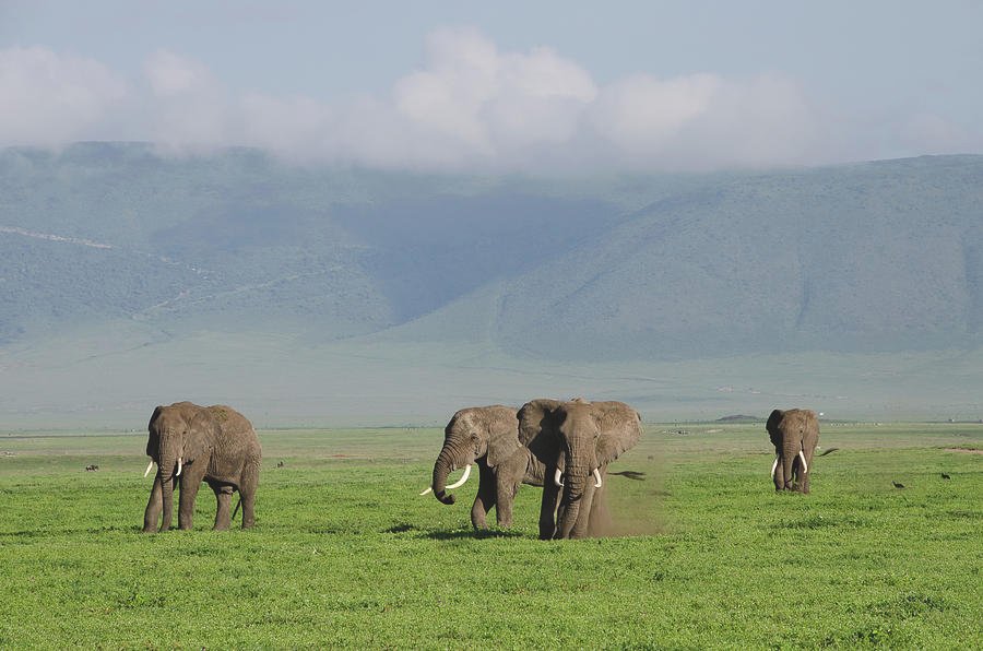 Sunrise viewpoint at Ngorongoro