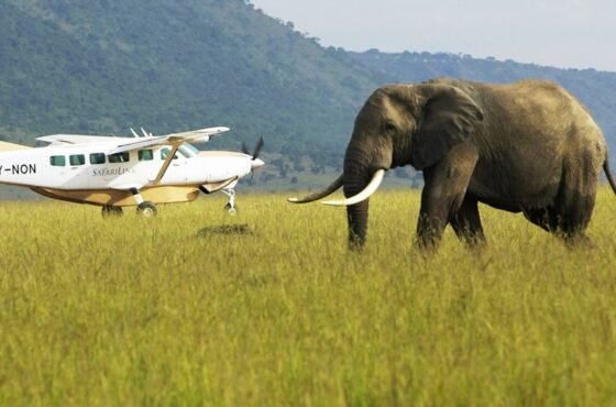 4-Day Northern Serengeti Luxury Fly-In & Fly-Out Safari