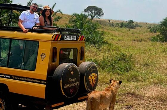 10-DAY BEACH BLISS & SAFARI THRILLS