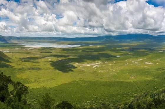 7-Day Ultimate Big Five Luxury Safari in Tanzania