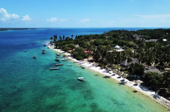 12-Day Tanzania Safari & Zanzibar Beach Holiday