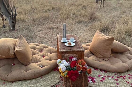 6-Day Tanzania Honeymoon Safari