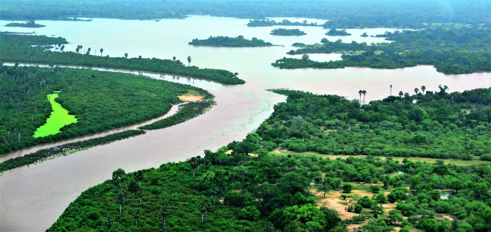 Floodplains and lakes in Nyerere National Park