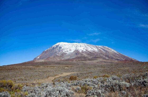 5 Days Magical Northern Tanzania Safari & Kilimanjaro Day Hike