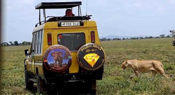 4-Day Wildlife & Cultural Experience Safari